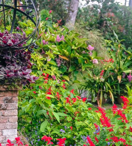 Garden - main photo Garden - main photo