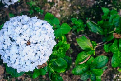 Outdoor_lokalocal_-14 Outdoor_lokalocal_-14