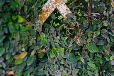 Outdoor_lokalocal_-16 (2) Outdoor_lokalocal_-16 (2)