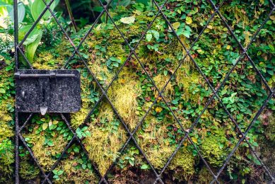 Outdoor_lokalocal_-2 (1) Outdoor_lokalocal_-2 (1)