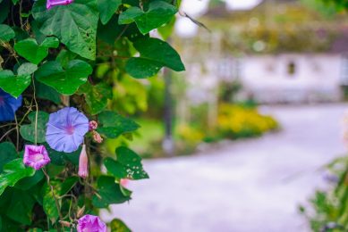 Outdoor_lokalocal_-40 Outdoor_lokalocal_-40