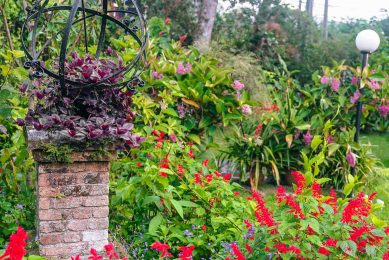 Outdoor_lokalocal_-57 Outdoor_lokalocal_-57