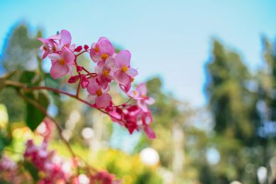 Outdoor_lokalocal_-8 Outdoor_lokalocal_-8