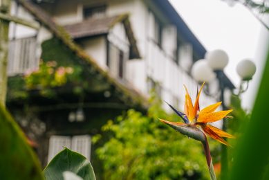 Outdoor_lokalocal_-82 Outdoor_lokalocal_-82