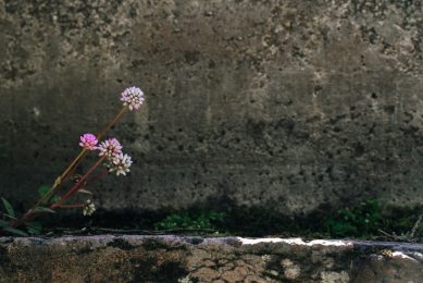 Outdoor_lokalocal_-9 Outdoor_lokalocal_-9